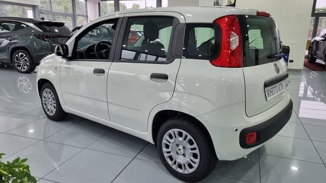 Nuova Fiat Panda S 69 CV (50 kW) 2025 Bianco Berlina