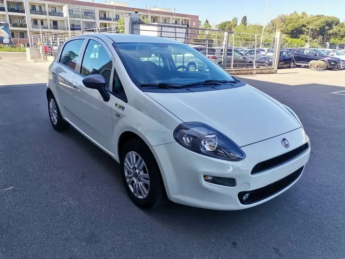 Usata Fiat Punto Young 69 CV (50 kW) 2015 Bianco Utilitaria