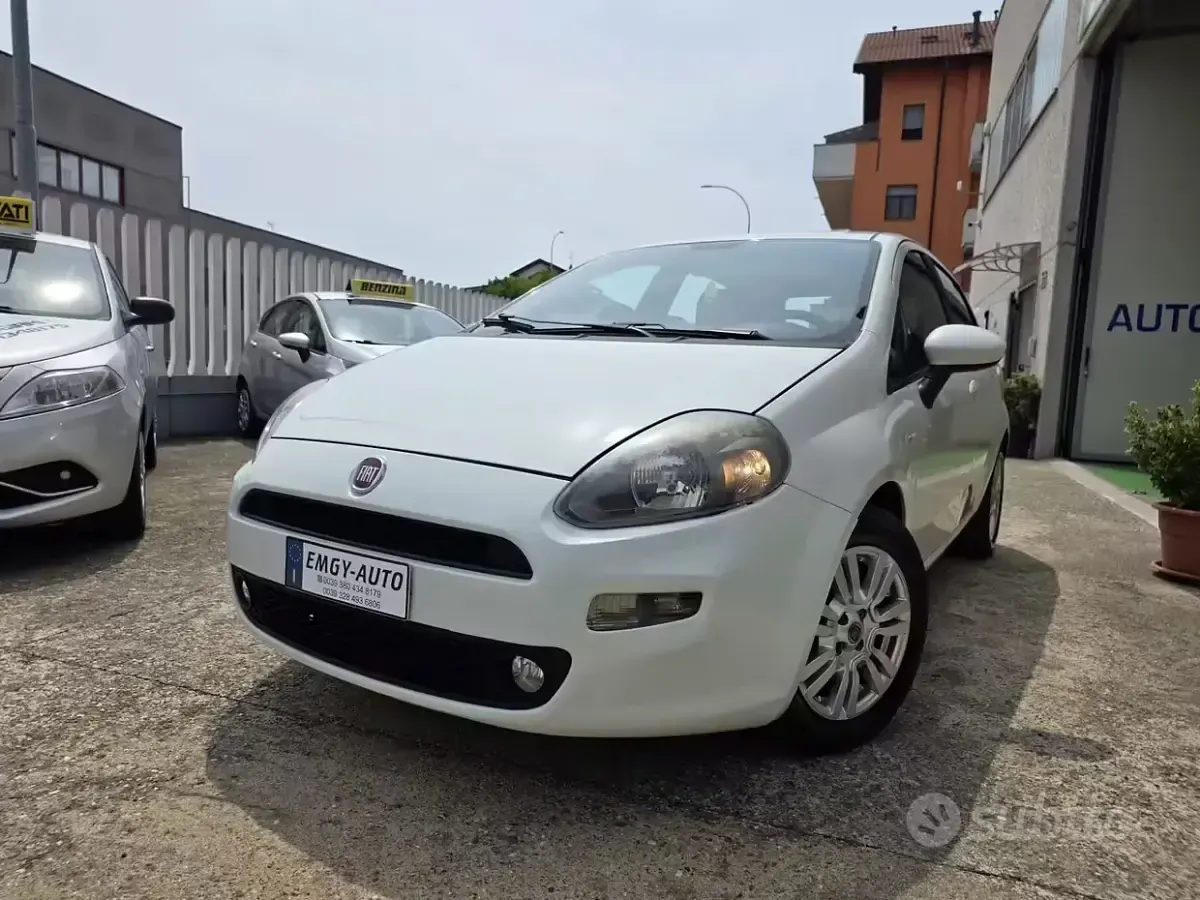 Usata Fiat Punto 75 CV (55 kW) 2014 Utilitaria