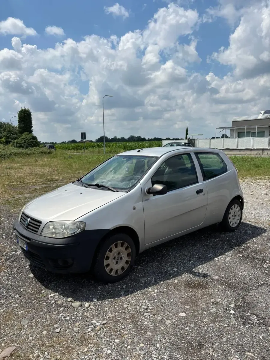 Usata Fiat Punto Active 60 CV (44 kW) 2011 Utilitaria