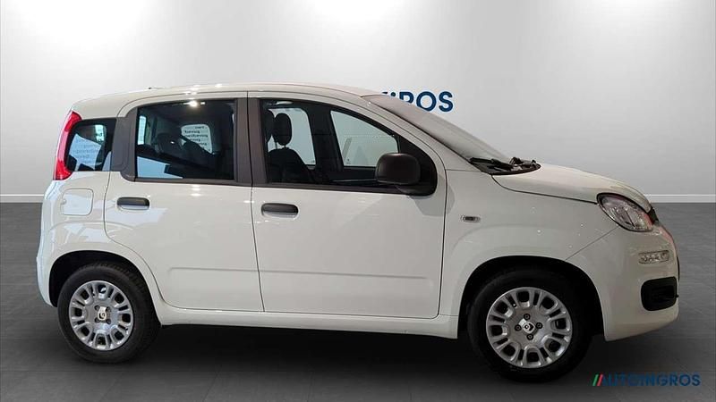 Nuova Fiat Panda Icon 69 CV (50 kW) 2026 Bianco gelato Utilitaria