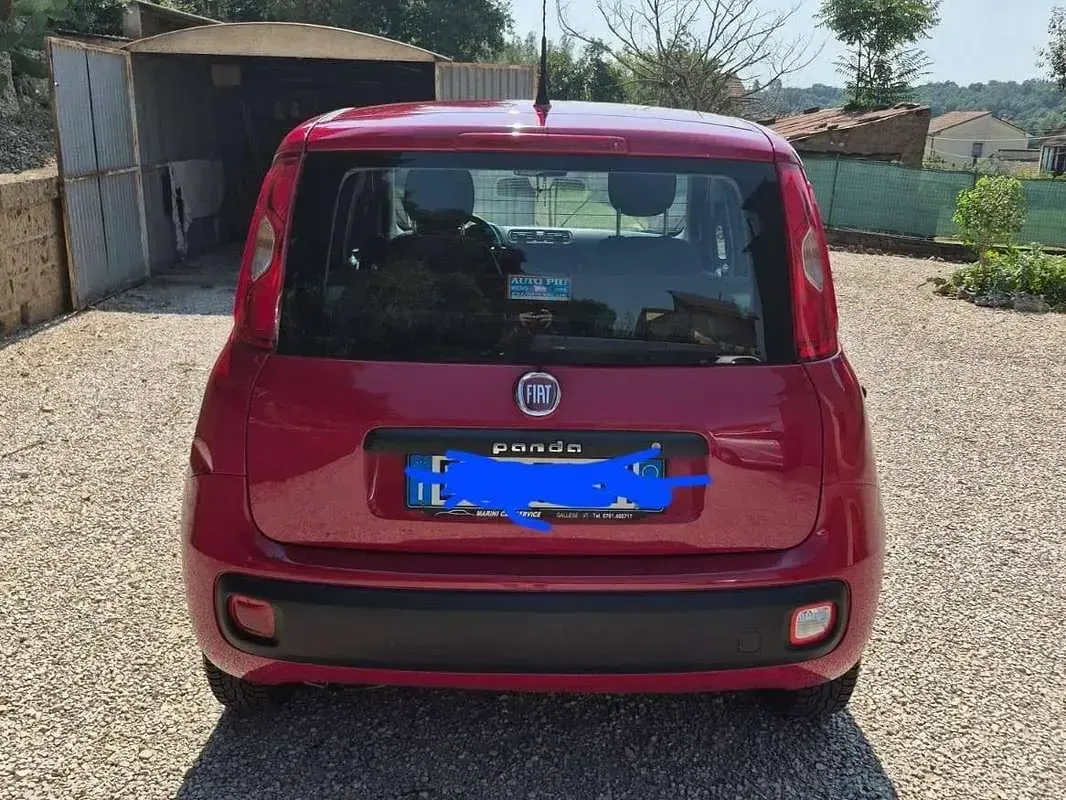 Usata Fiat Panda Pop 69 CV (50 kW) 2013 Rosso Utilitaria