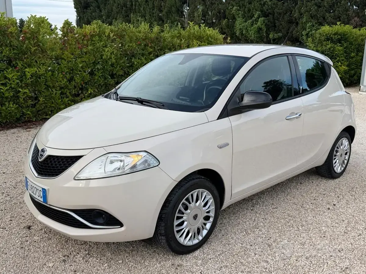 Usata Lancia Ypsilon Gold 69 CV (50 kW) 2017 Beige Utilitaria
