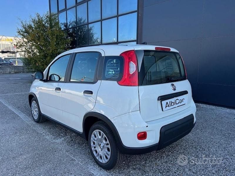 Usata Fiat Panda S 69 CV (50 kW) 2024 Bianco Utilitaria