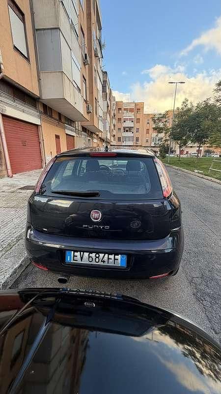 Usata Fiat Punto Evo Dynamic 86 CV (63 kW) 2014 Utilitaria
