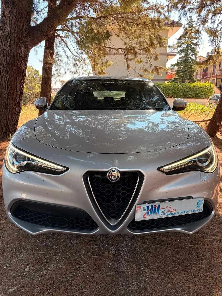 Usata Alfa Romeo Stelvio Business 190 CV (139 kW) 2020 Argento SUV