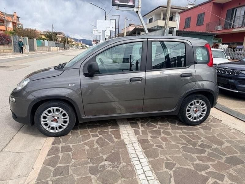Usata Fiat Panda S 71 CV (52 kW) 2024 Gray Utilitaria