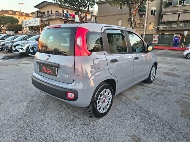 Usata Fiat Panda Easy 69 CV (50 kW) 2022 Grigio Utilitaria