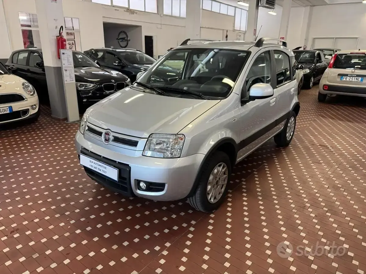 Usata Fiat Panda 4x4 Climbing 69 CV (50 kW) 2012 Grigio Utilitaria
