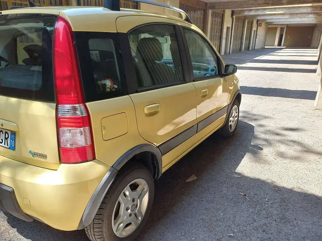 Usata Fiat Panda Climbing 60 CV (44 kW) 2009 Giallo Utilitaria