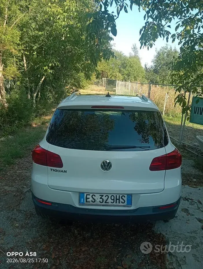 Usata VW Tiguan Sport 110 CV (80 kW) 2013 Bianco SUV