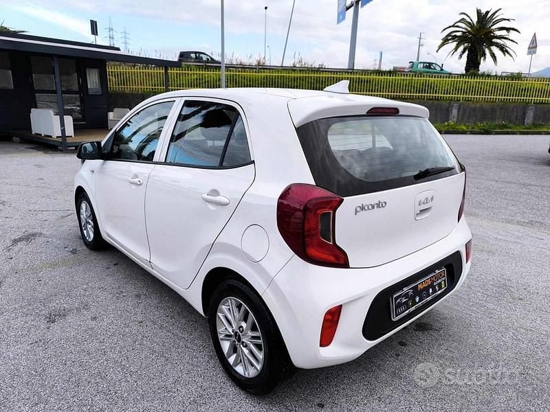 Usata Kia Picanto Urban 67 CV (49 kW) 2023 Bianco Utilitaria