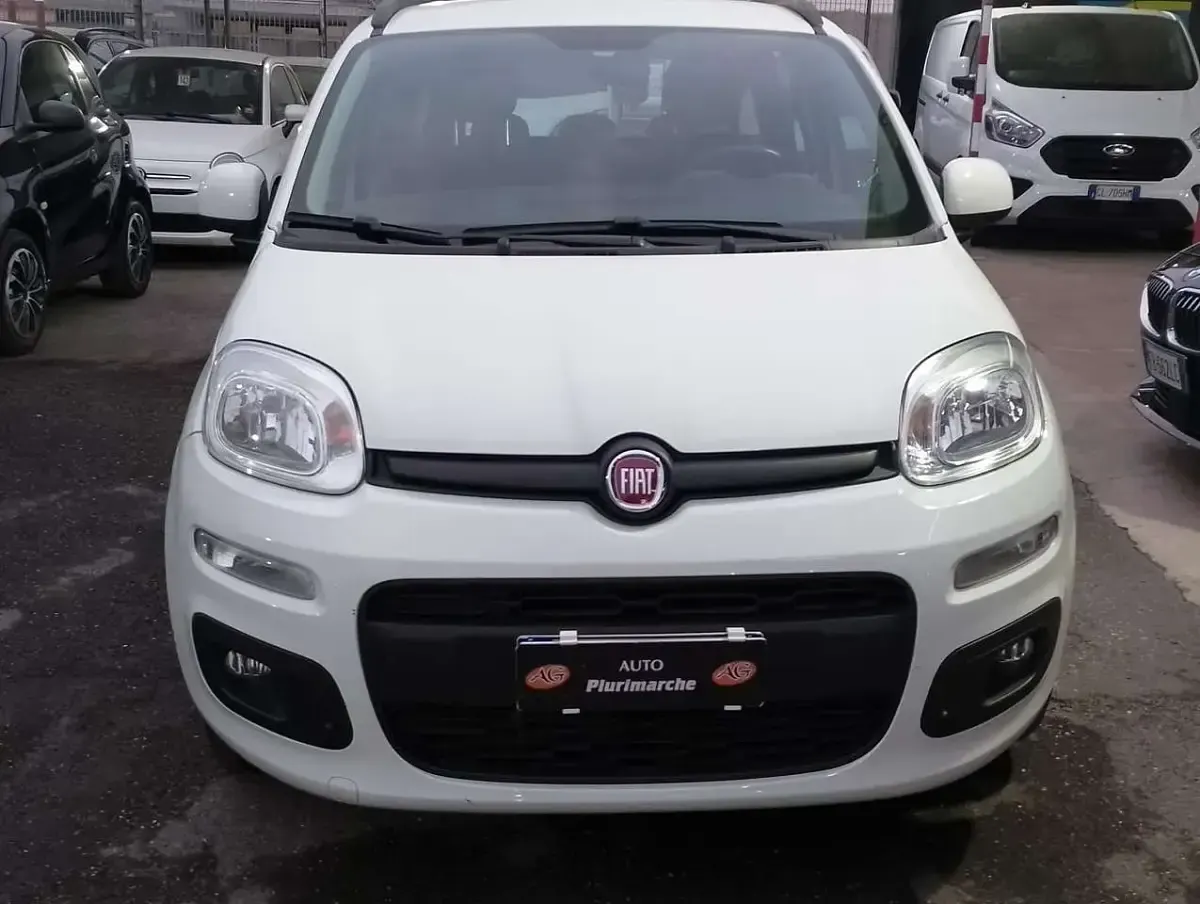 Usata Fiat Panda Lounge 69 CV (50 kW) 2019 Bianco Utilitaria