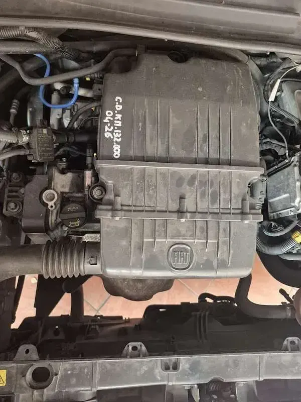Usata Fiat Punto Lounge 69 CV (50 kW) 2014 Utilitaria
