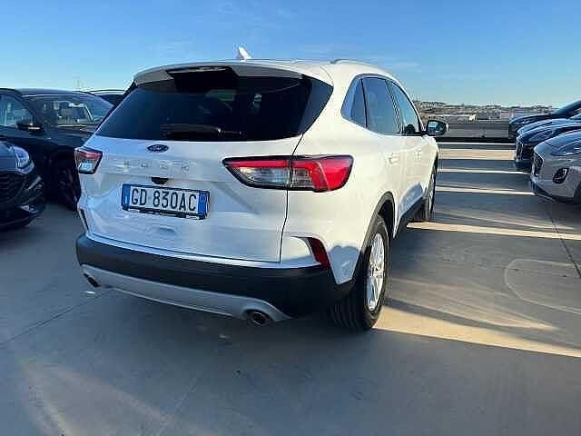 Usata Ford Kuga Business Edition 120 CV (88 kW) 2021 Bianco SUV