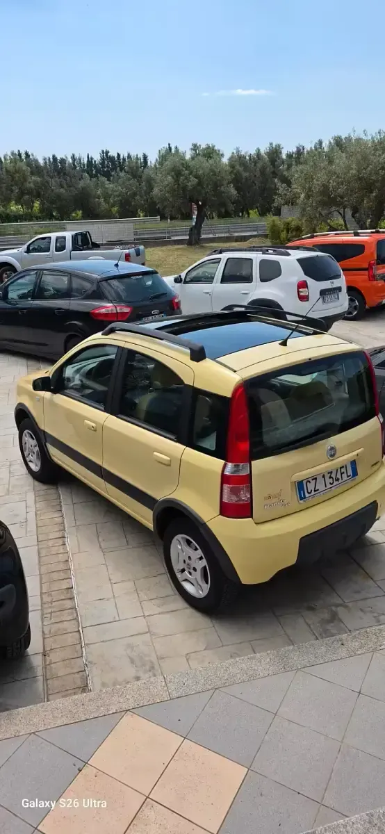 Usado Fiat Panda 4x4 Climbing 69 CV (50 kW) 2006 Amarillo Utilitario