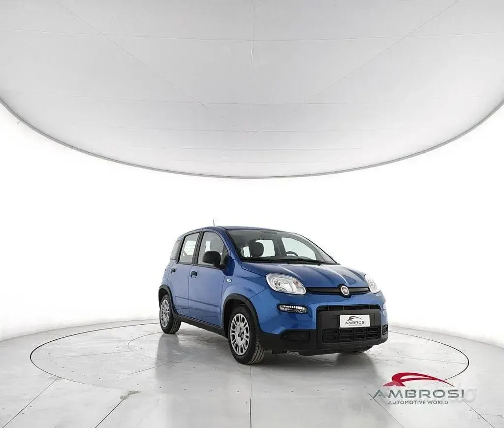 Usata Fiat Panda S 69 CV (50 kW) 2024 Blu Utilitaria