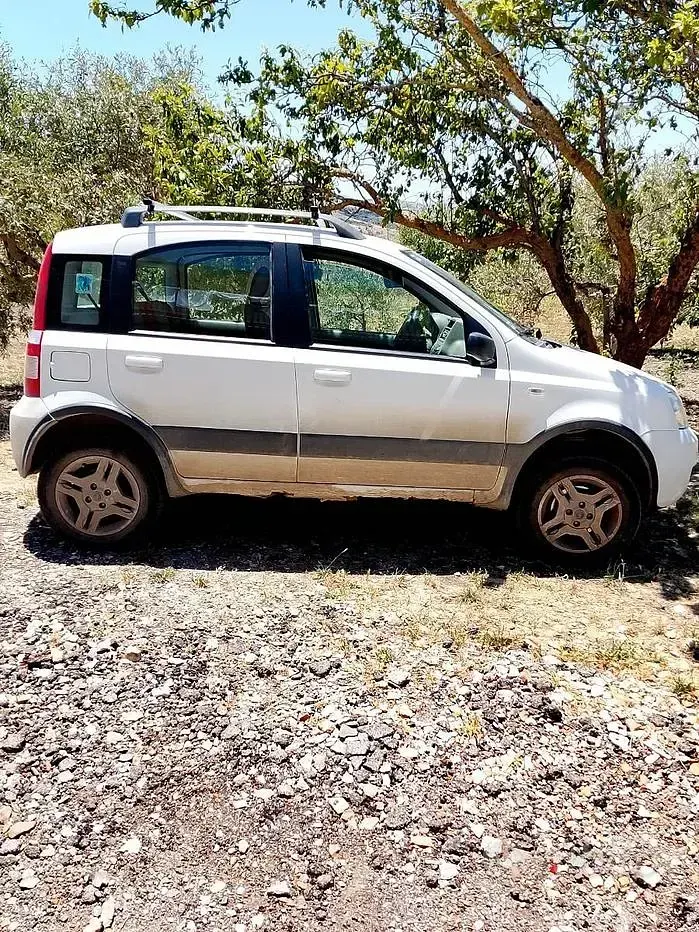 Usata Fiat Panda 4x4 69 CV (50 kW) 2006 Bianco Utilitaria