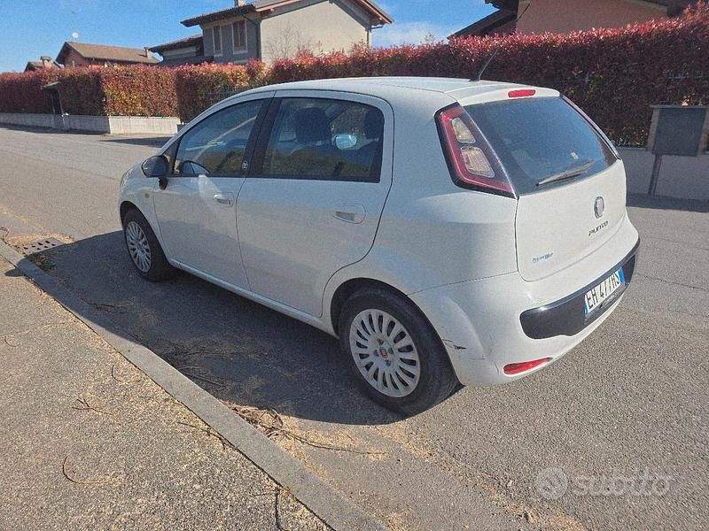 Usata Fiat Punto Evo S 69 CV (50 kW) 2011 Bianco Utilitaria