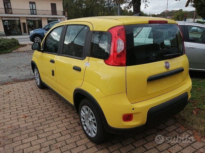 Usata Fiat Panda S 69 CV (50 kW) 2024 Giallo Utilitaria