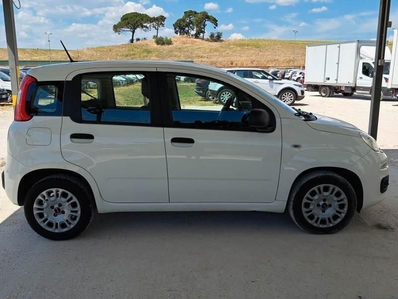 Usata Fiat Panda Easy 69 CV (50 kW) 2020 Bianco Utilitaria