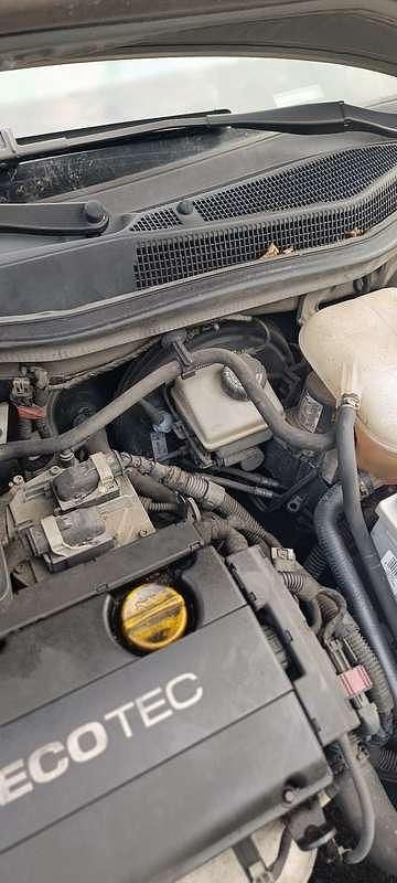 Usata Opel Astra Cosmo 105 CV (77 kW) 2006 Station wagon