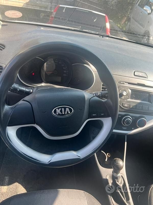 Usata Kia Picanto 67 CV (49 kW) 2016 Bianco Utilitaria