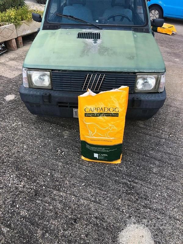 Usata Fiat Panda 4x4 50 CV (36 kW) 1989 Utilitaria