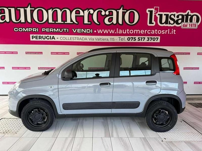 Usata Fiat Panda 4x4 S 84 CV (61 kW) 2019 Grigio Utilitaria