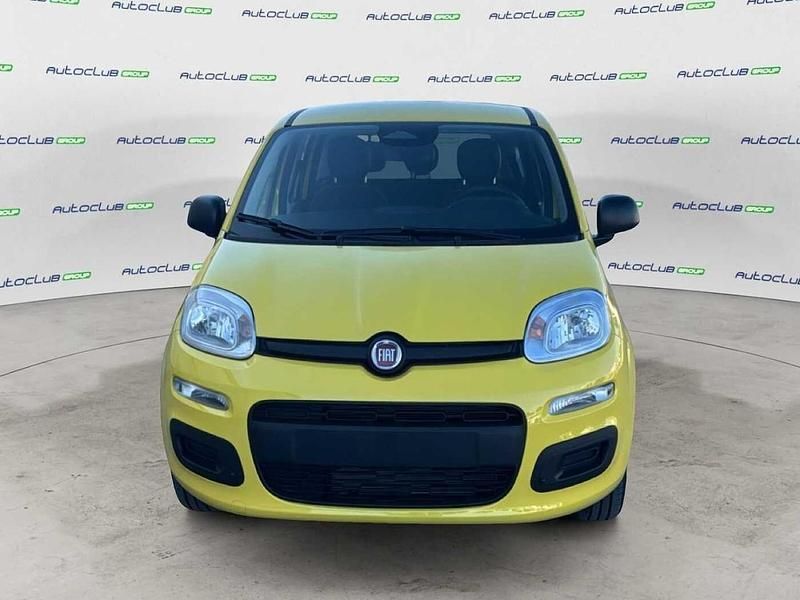 Nuova Fiat Panda Icon 69 CV (50 kW) 2025 Giallo Utilitaria