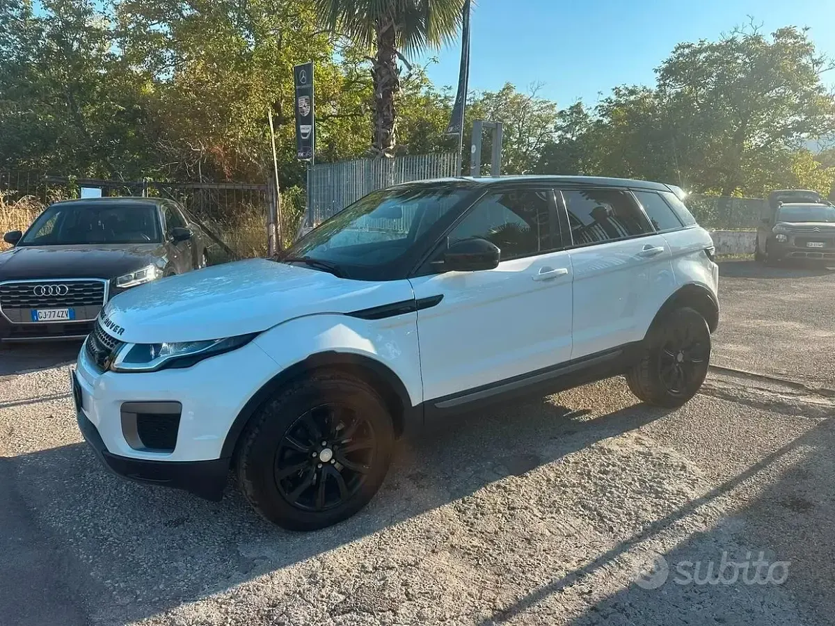 Usata Land Rover Range Rover evoque 150 CV (110 kW) 2016 Bianco SUV