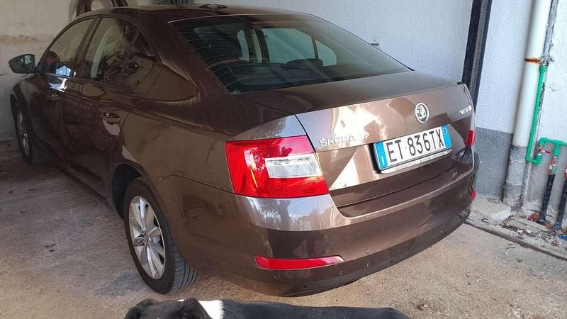 Usata Skoda Octavia Ambition 105 CV (77 kW) 2014 Marrone Berlina
