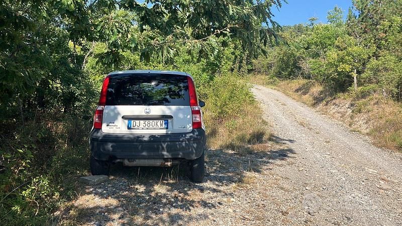 Usata Fiat Panda 4x4 80 CV (58 kW) 2007 Bianco Utilitaria