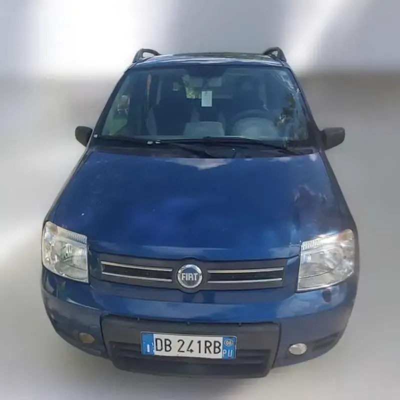 Usata Fiat Panda 4x4 69 CV (50 kW) 2006 Utilitaria