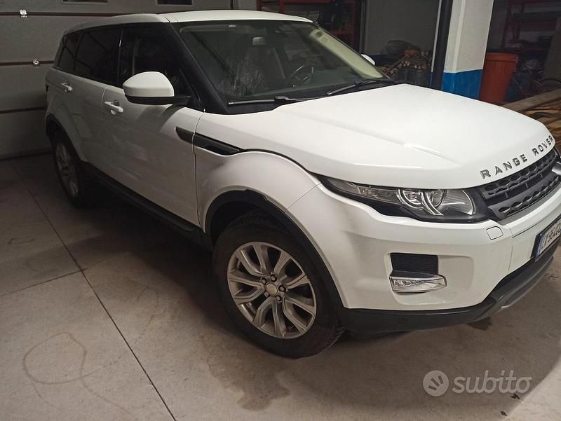 Usata Land Rover Range Rover evoque Pure 150 CV (110 kW) 2014 Bianco SUV