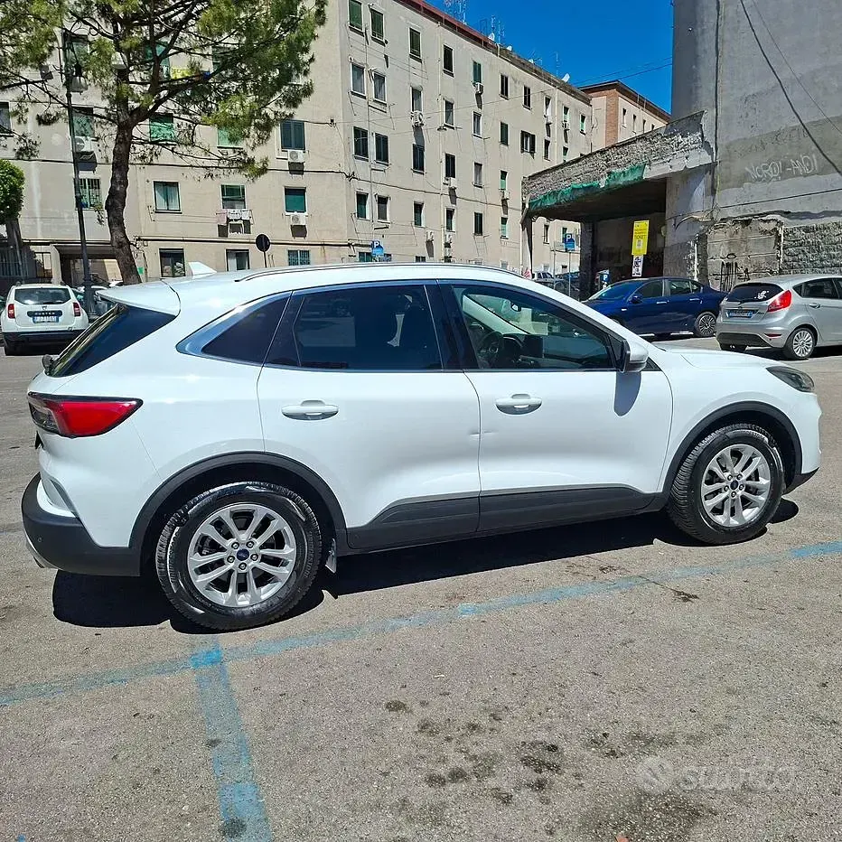 Usata Ford Kuga Titanium 120 CV (88 kW) 2021 Bianco SUV