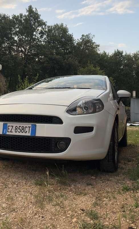 Usata Fiat Punto Lounge 75 CV (55 kW) 2015 Utilitaria