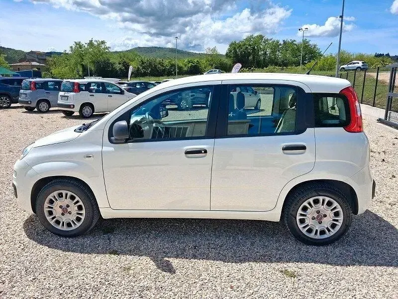 Usata Fiat Panda Easy 75 CV (55 kW) 2015 Bianco Utilitaria