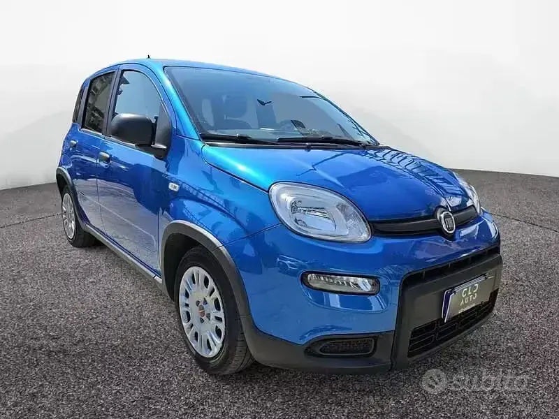 Usata Fiat Panda S 70 CV (51 kW) 2024 Bluazzurro Utilitaria