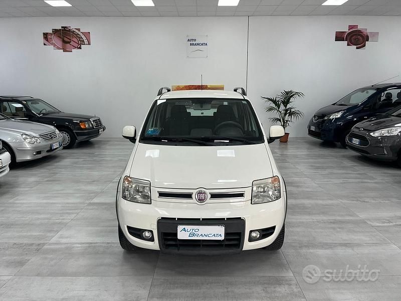 Usata Fiat Panda 4x4 Climbing 75 CV (55 kW) 2011 Bianco Utilitaria
