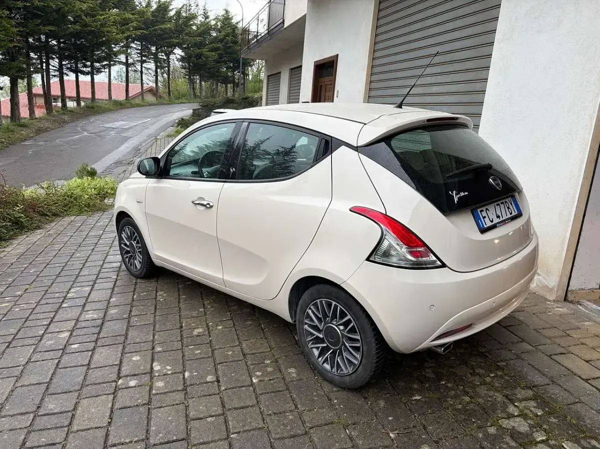 Usata Lancia Ypsilon S 95 CV (69 kW) 2016 Beige Utilitaria