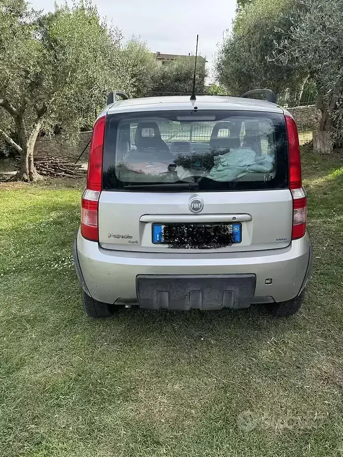 Usata Fiat Panda 4x4 60 CV (44 kW) 2006 Grigio Utilitaria