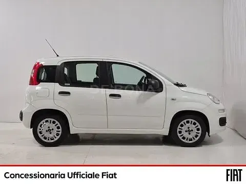Usata Fiat Panda Lounge 95 CV (69 kW) 2016 Bianco Utilitaria