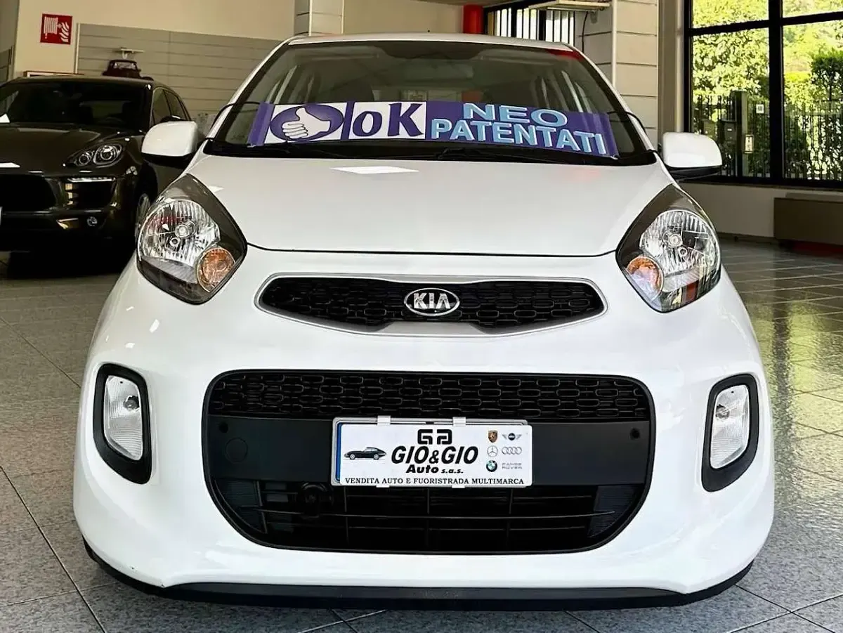 Usata Kia Picanto Active 65 CV (47 kW) 2016 Bianco Utilitaria