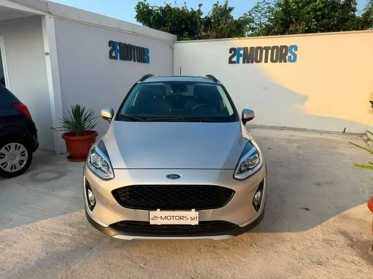 Usata Ford Fiesta Active 86 CV (63 kW) 2019 Grigio Utilitaria