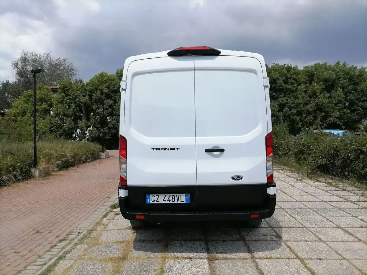 Usata Ford Transit Trend 131 CV (96 kW) 2025 Other Furgone