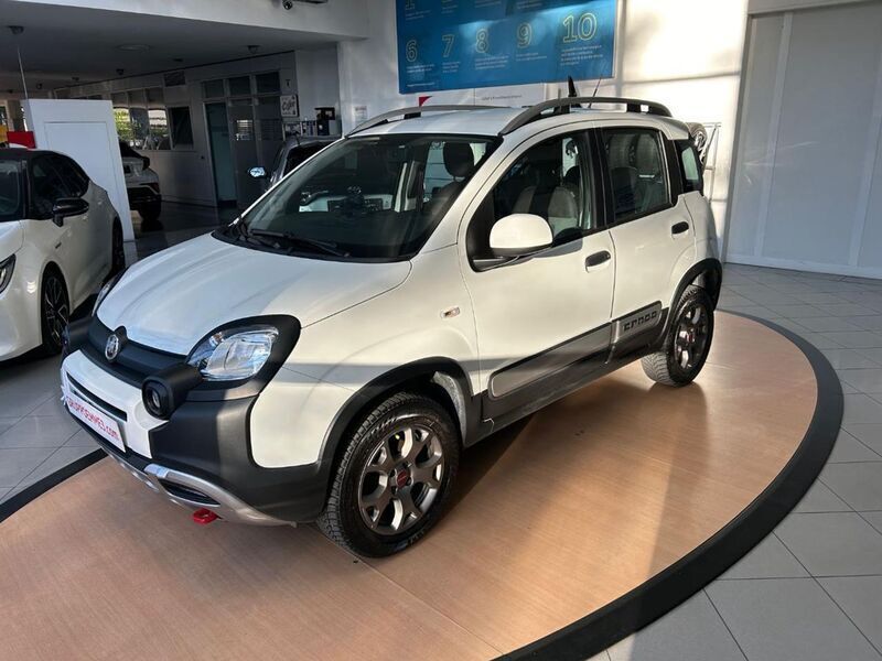 Usato 2019 Fiat Panda 4x4 0.9 Benzin 84 CV (13.400 €)