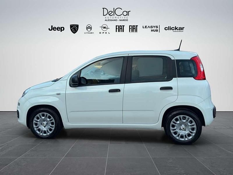 Usata Fiat Panda 69 CV (50 kW) 2024 Bianco Utilitaria