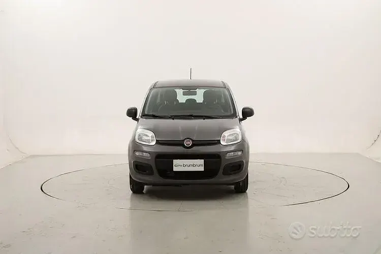 Usata Fiat Panda Easy 69 CV (50 kW) 2021 Grigio Utilitaria