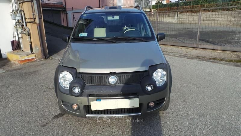 Usata Fiat Panda Cross Cross 69 CV (50 kW) 2007 Bronze Utilitaria